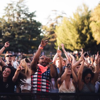 Njut av festival