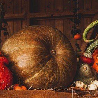 Fira halloween i Stockholm